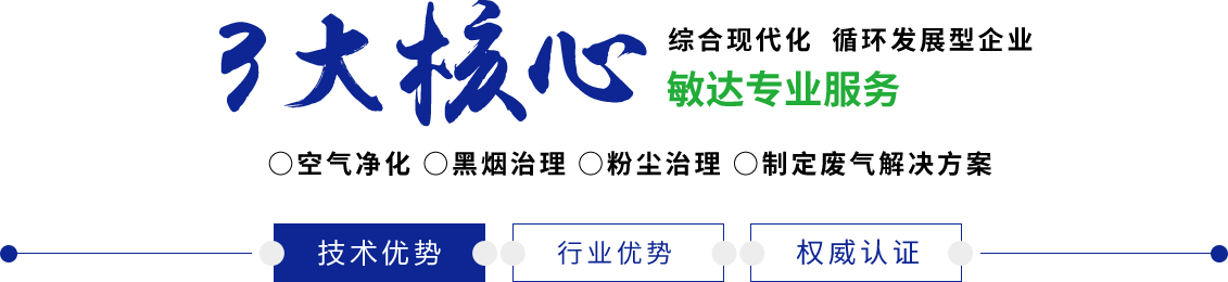 播放东北中老年丰满黄色网站敏达环保科技（嘉兴）有限公司